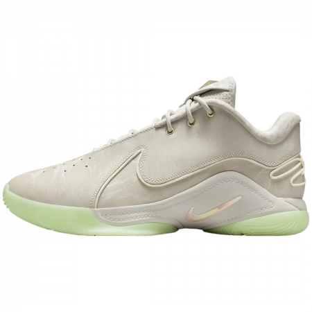 Nike LeBron 22 Dunkman